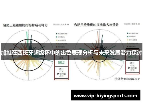 加维在西班牙超级杯中的出色表现分析与未来发展潜力探讨