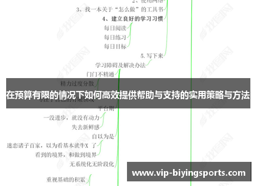 在预算有限的情况下如何高效提供帮助与支持的实用策略与方法