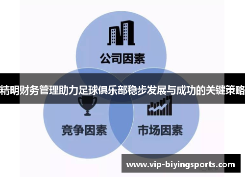 精明财务管理助力足球俱乐部稳步发展与成功的关键策略