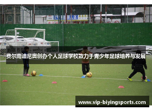 费尔南迪尼奥创办个人足球学校致力于青少年足球培养与发展 费尔南迪尼奥创办个人足球学校致力于青少年足球培养与发展