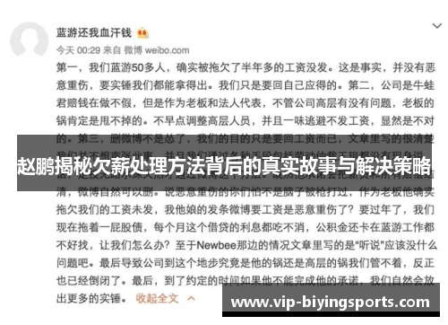 赵鹏揭秘欠薪处理方法背后的真实故事与解决策略