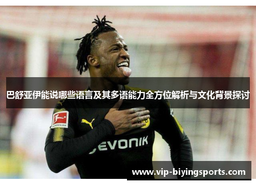 巴舒亚伊能说哪些语言及其多语能力全方位解析与文化背景探讨