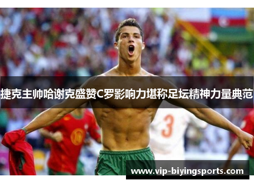 捷克主帅哈谢克盛赞C罗影响力堪称足坛精神力量典范 捷克主帅哈谢克盛赞C罗影响力堪称足坛精神力量典范