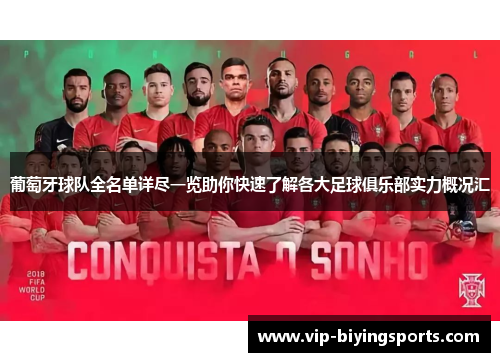 葡萄牙球队全名单详尽一览助你快速了解各大足球俱乐部实力概况汇