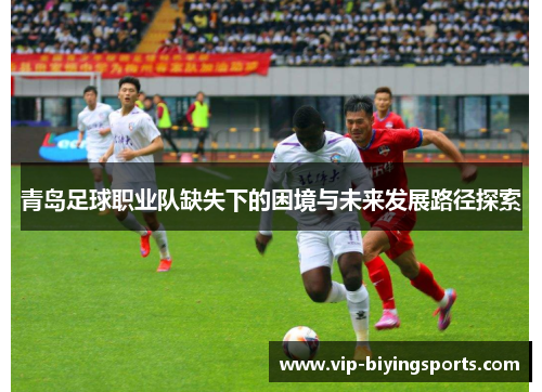 青岛足球职业队缺失下的困境与未来发展路径探索 青岛足球职业队缺失下的困境与未来发展路径探索